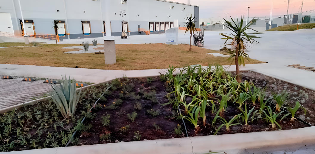 image of a school campus (for a edtech)